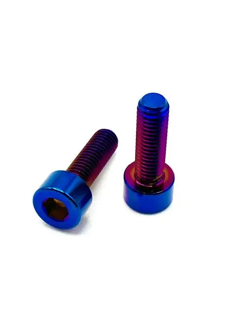 Titanium Surron Ignition Cover Bolt Kit